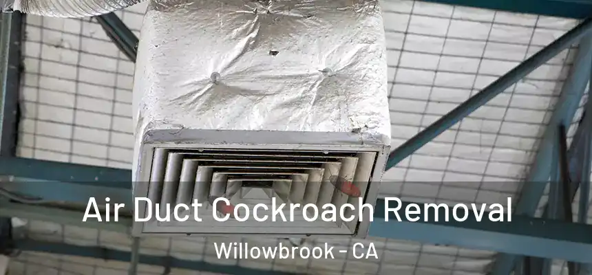  Air Duct Cockroach Removal Willowbrook - CA