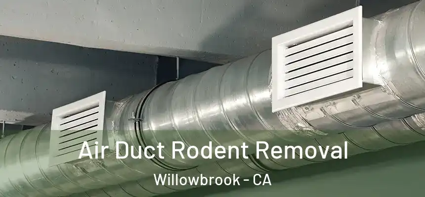  Air Duct Rodent Removal Willowbrook - CA
