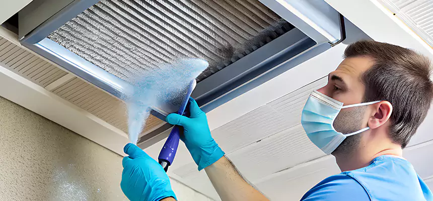 Proactive Dryer Vent & Auxiliary Duct Pollen Cleanup in Willowbrook, CA