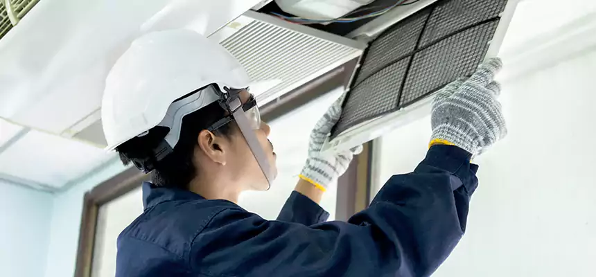 Our Mold & Mildew Removal from Air Ducts Services in Willowbrook, CA