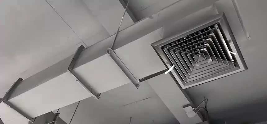 Our Pest Removal From Ducts Services in Willowbrook, CA