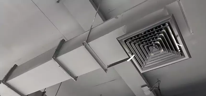 Our Rodent Droppings In Vents Services in Willowbrook, CA