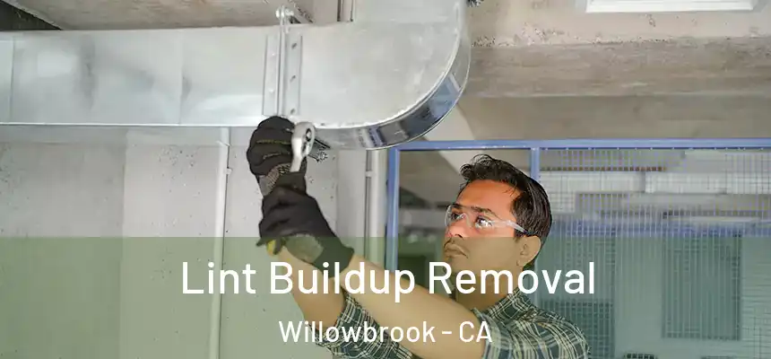  Lint Buildup Removal Willowbrook - CA