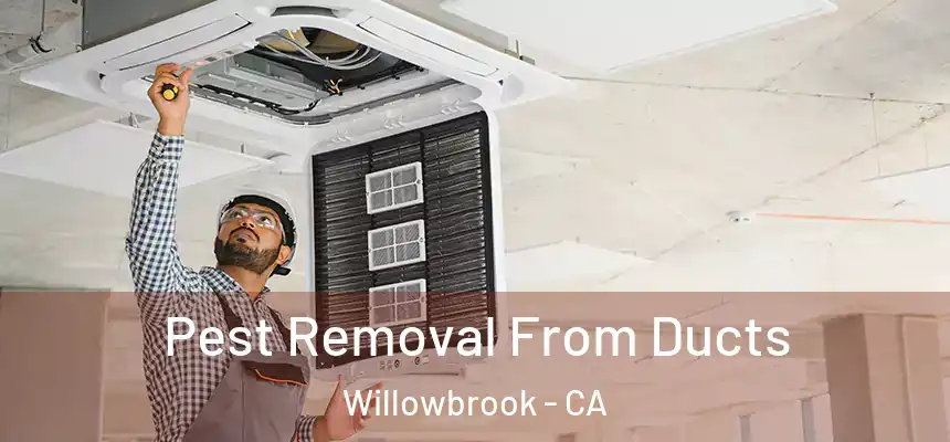  Pest Removal From Ducts Willowbrook - CA