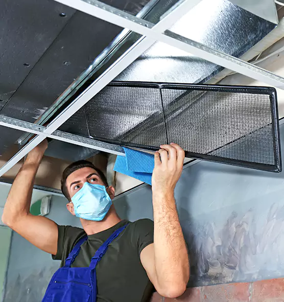 About Air Duct Bacteria Removal in Willowbrook