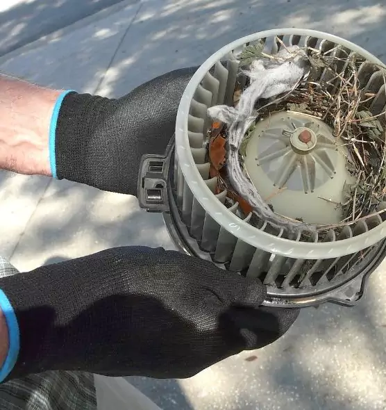 About Air Duct Mice Removal in Willowbrook, CA