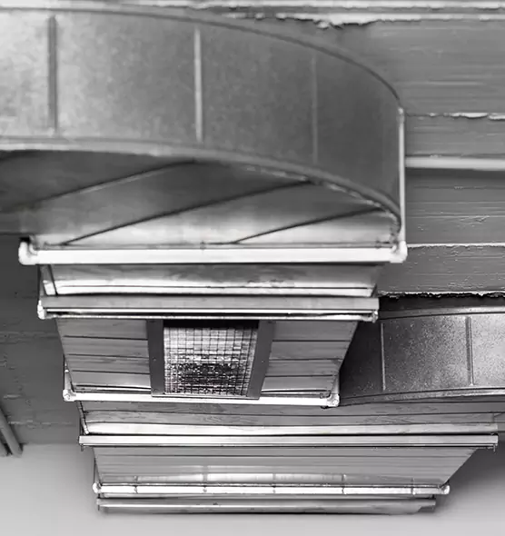 Professional Air Duct Pet Hair Removal in Willowbrook, CA