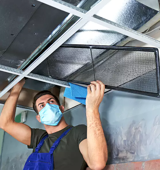 Professional Air Duct Pollen Cleaning in Willowbrook, CA