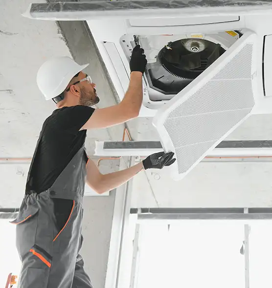 About Air Duct Rodent Removal in Willowbrook, CA