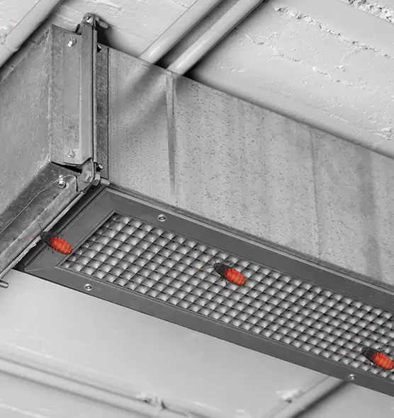 Affordable Insect Removal from Air Ducts in Willowbrook, CA