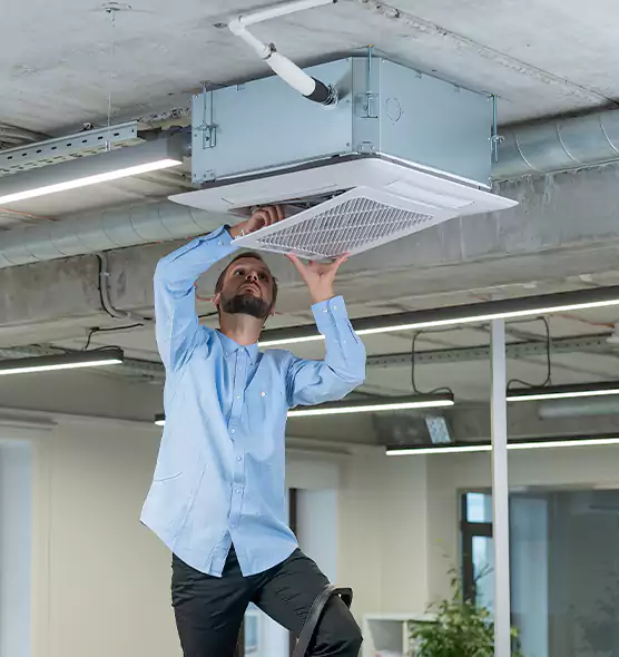 Advanced Rodent Droppings In Vents in Willowbrook, CA