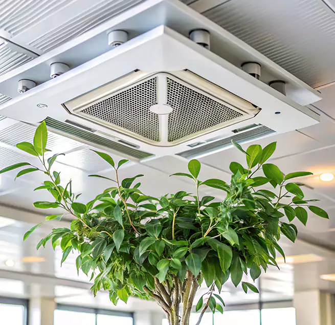 Why Homeowners & Businesses Trust Us in Willowbrook, CA?