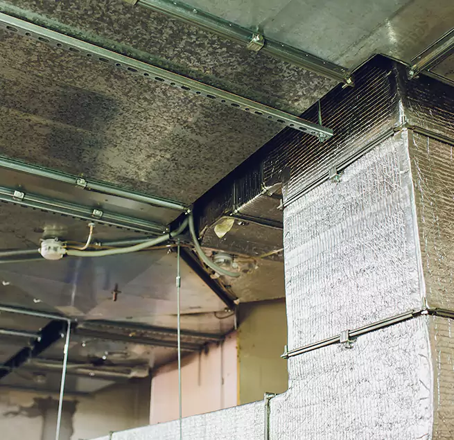 Why Homeowners & Businesses Trust Us in Willowbrook, CA?