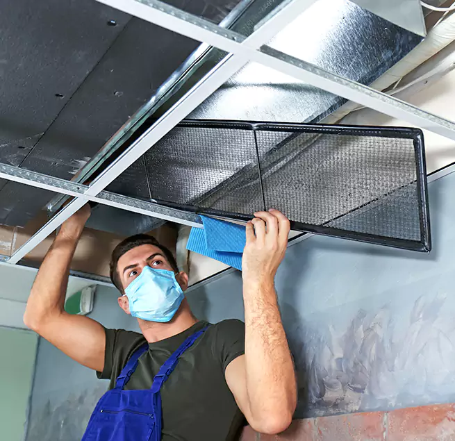 Why Homeowners & Businesses Trust Us in Willowbrook, CA?